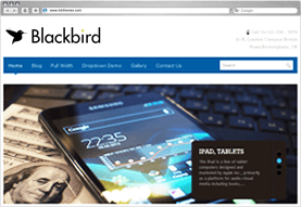 Blackbird Responsive WordPress Theme