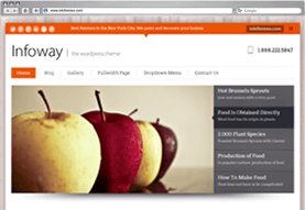 Infoway WordPress Theme with built in Lead Capture
