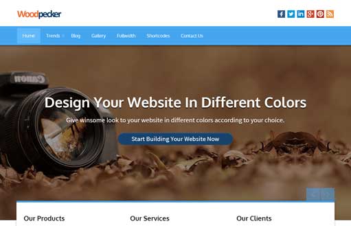 Woodpecker - premium business WordPress theme
