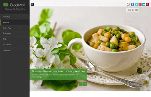 Woodpecker - premium business WordPress theme