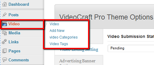 video option