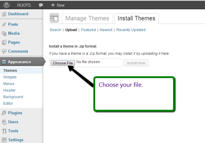 Choosing the file