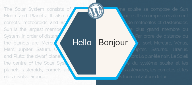 Translation of WordPress Theme Using PO File