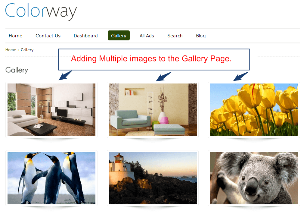 Gallery-Page-with-multiple-images