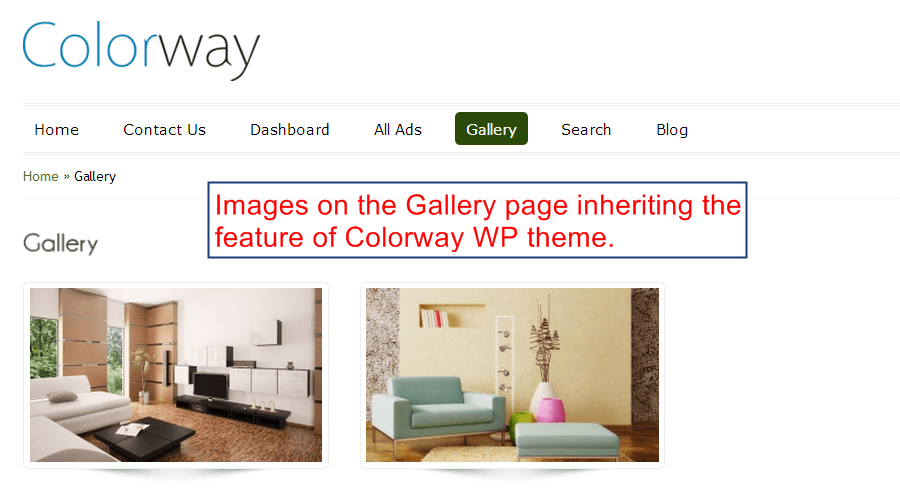 ColorWay gallery Page Theme