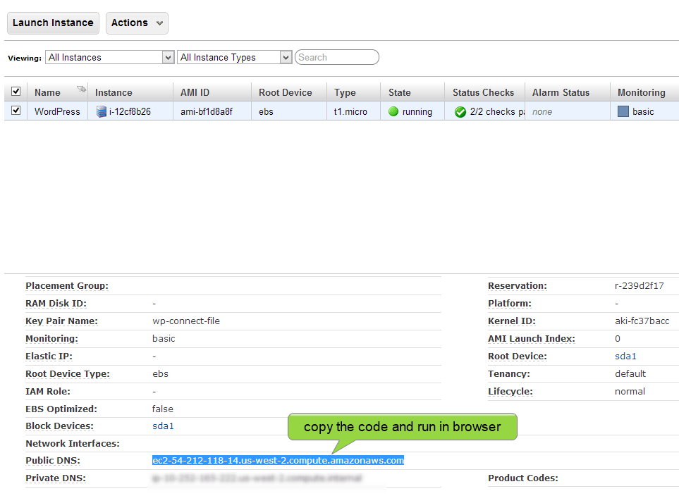 copy the public DNS code