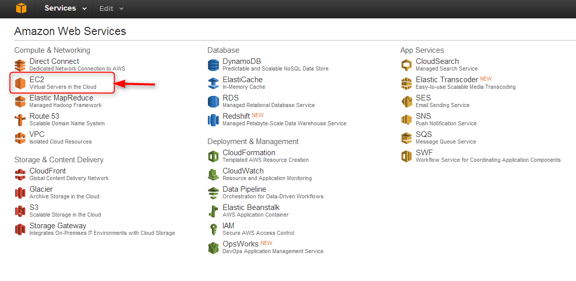 select EC2 from the list of Amazon Web Services