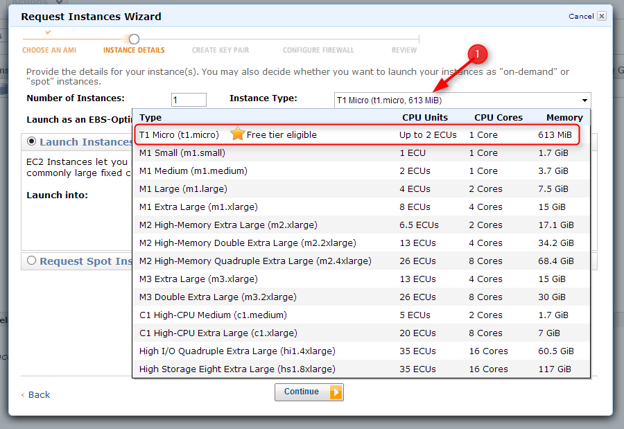 select T1 Micro instance