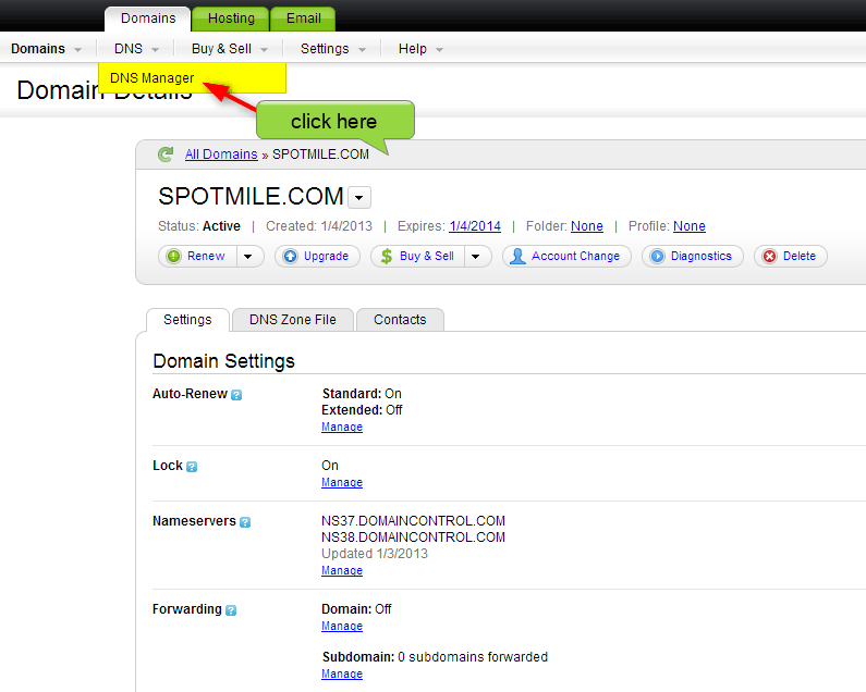 select DNS Manager