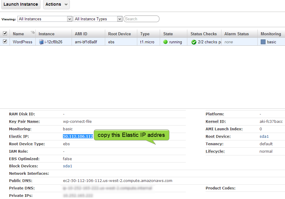 step tp copy elastic ip address