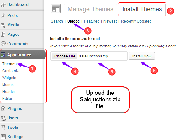 install SaleJunction theme