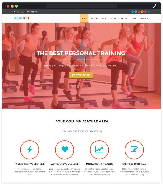 Aerofit Free Responsive And Beautiful WordPress Themes InkThemes