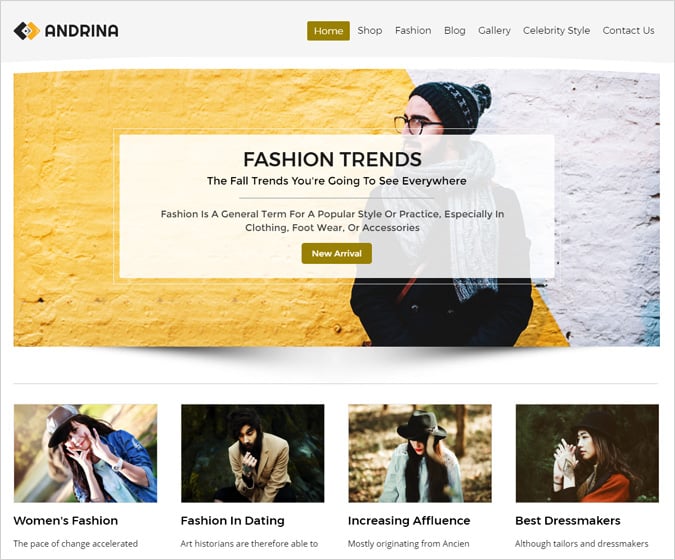 Andrina WordPress Theme