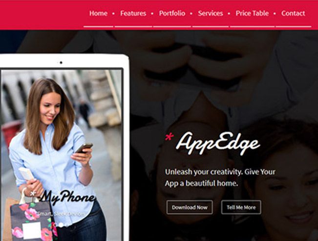 appedg wp theme