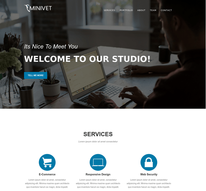 minivet wp theme