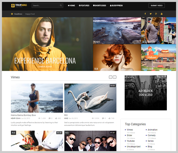 True Mag - Free Responsive Video WordPress Themes