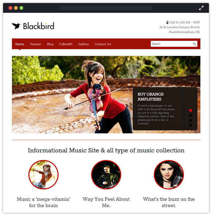 Blackbird-wordpress-business-InkThemes