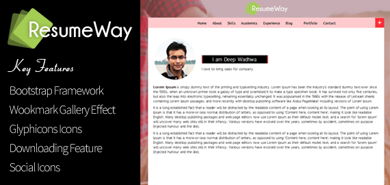 RESUMEWAY - WORDPRESS THEME TO BUILD YOUR ONLINE RESUME WEBSITE