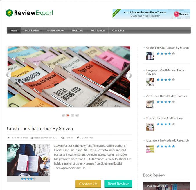 Review Expert WP Theme