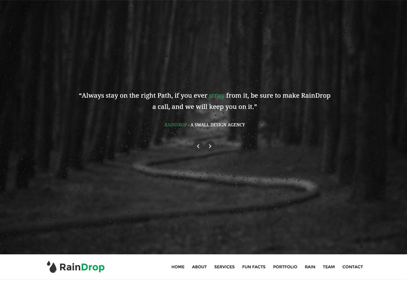 Raindrop - beautiful and responsive multipurpose wordpress theme