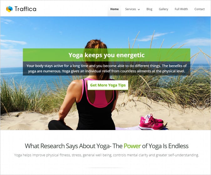 Traffica WordPress Theme