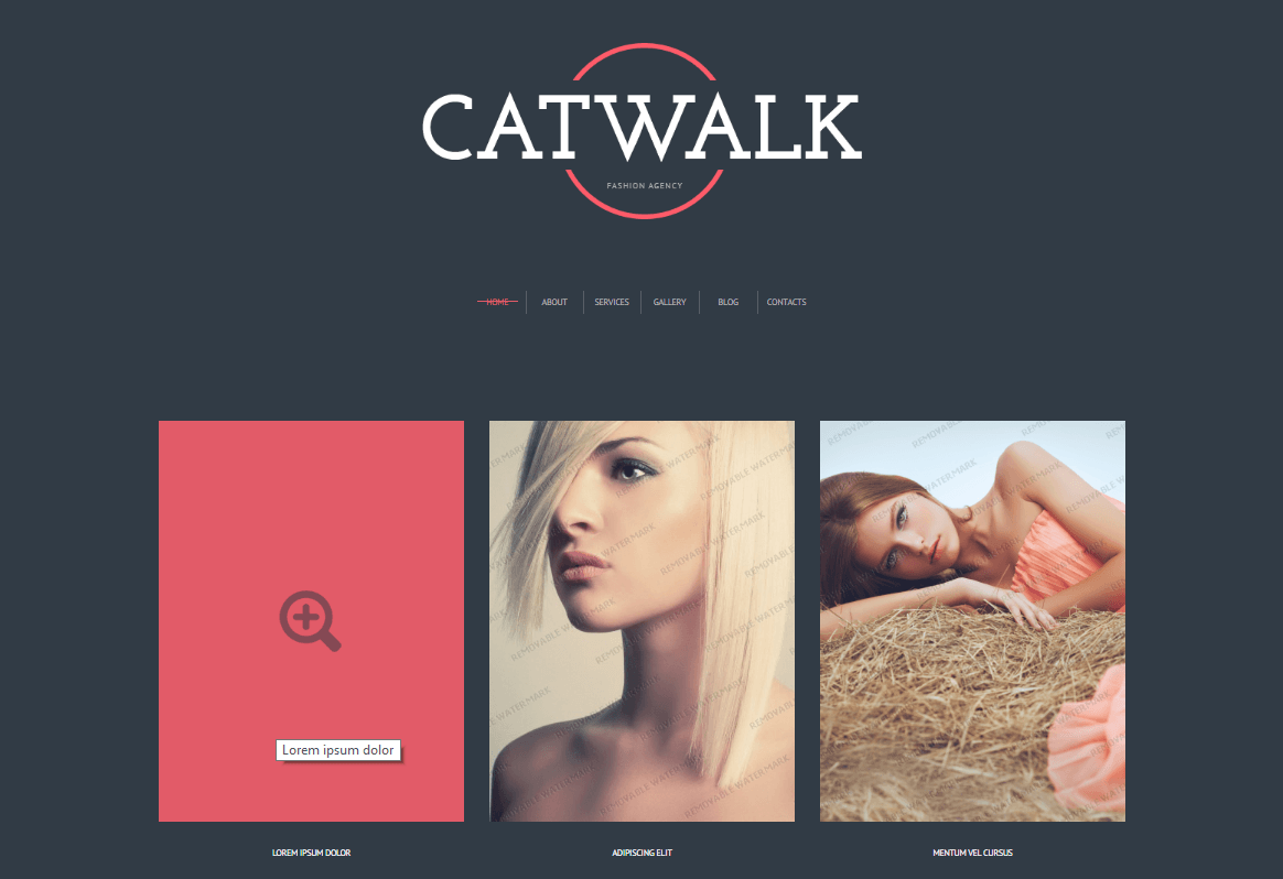 cat walk free theme previeww