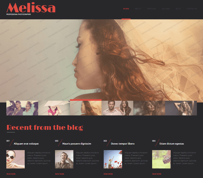 melissa free theme preview