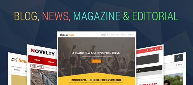 Professional WordPress