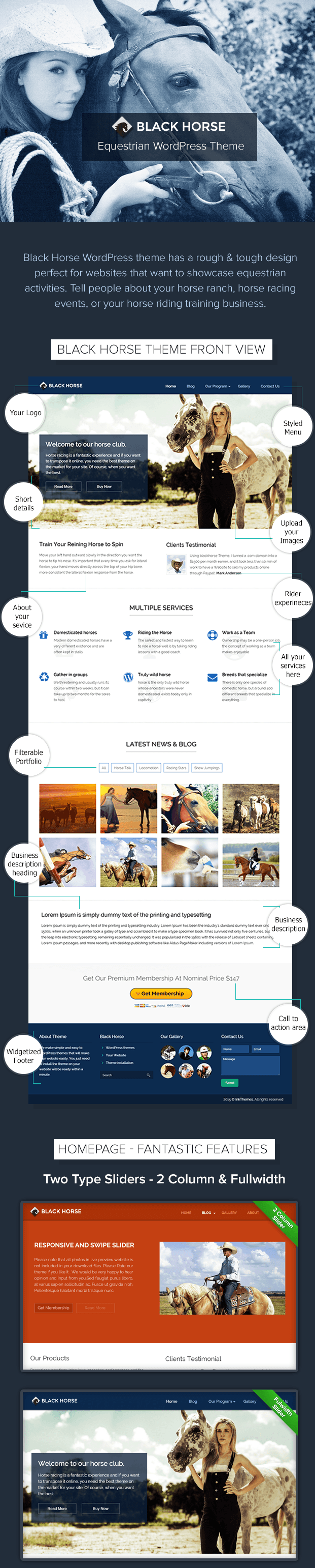 blackhorse wordpress theme