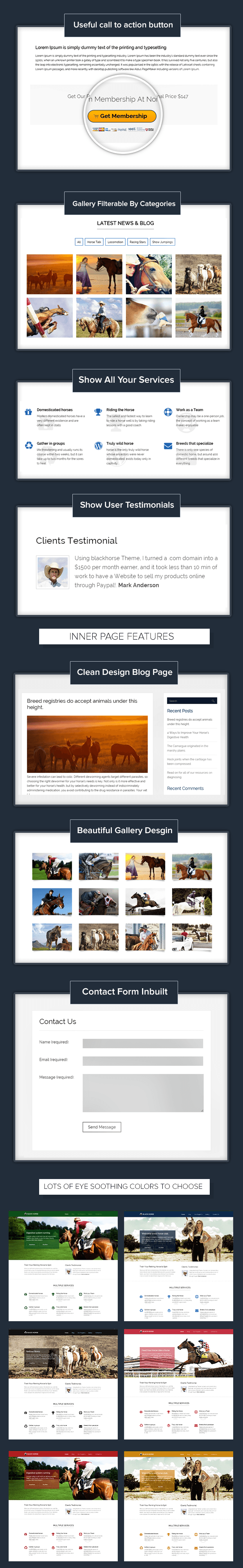 equestrian wordpress theme