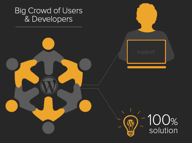 why use wordpress - the big wordpress community