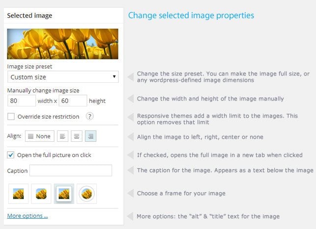 Image Pro-optimization-plugin