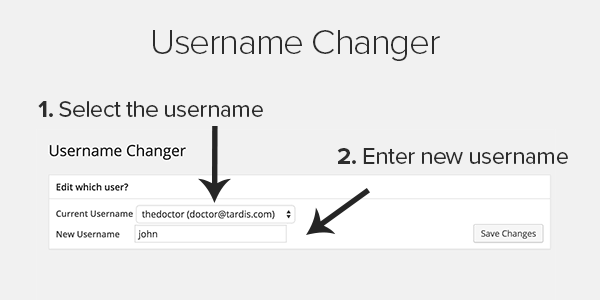 change username wp