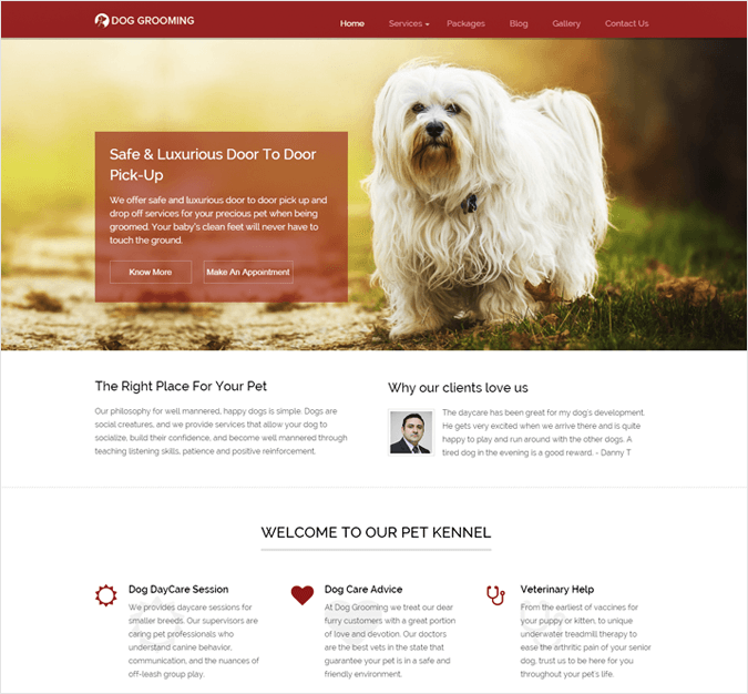  Dog Grooming-local-business-wp-InkThemes