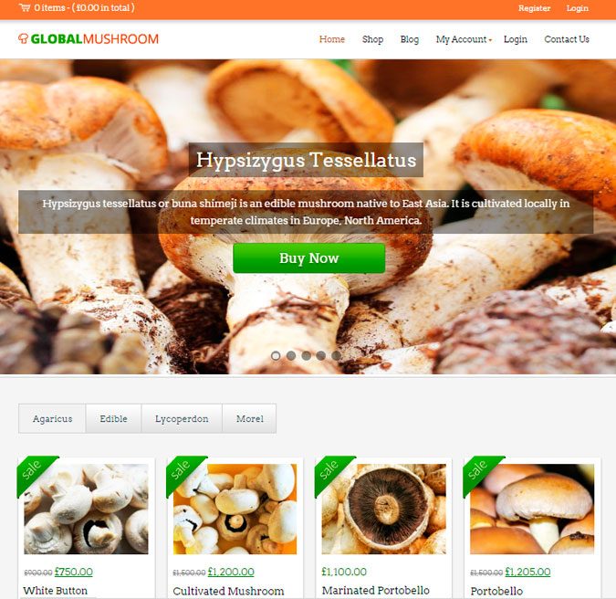 Global Mushroom wp theme