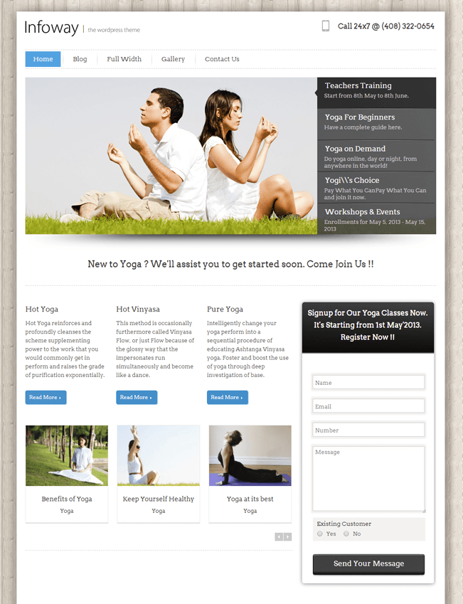 Infoway-lead-generation-wp-InkThemes