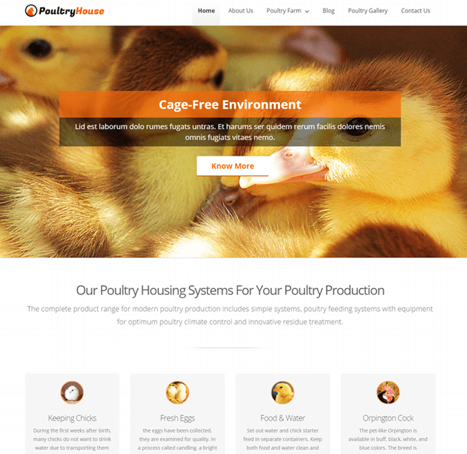 Poultry Fram WP Theme