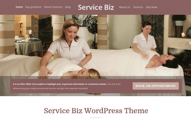 Service Biz Appointment Booking Wp Theme