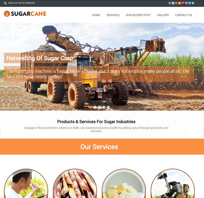 SugarCane WP Theme