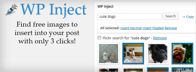 Wp Inject - image search