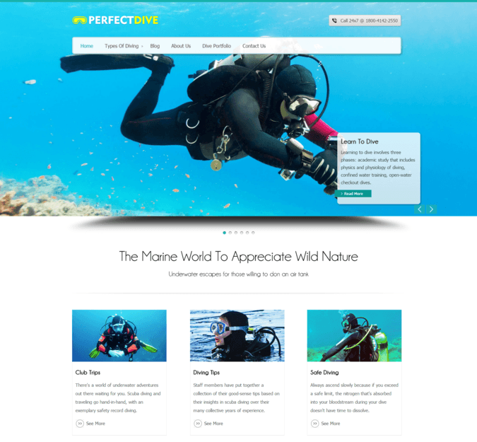 diving-wp-theme