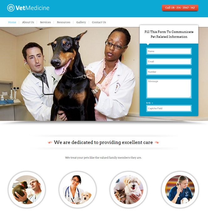 vetererany doctor wordpress template