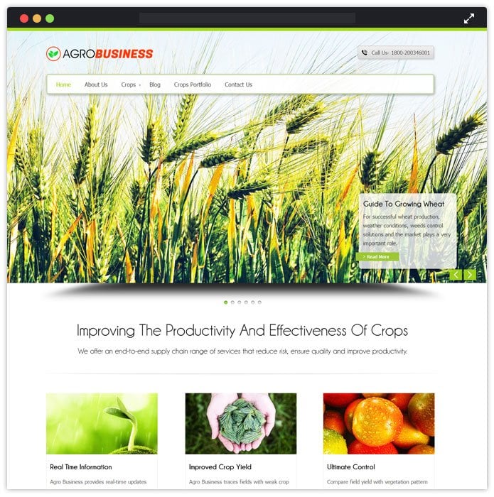 AgroBusiness WP Theme