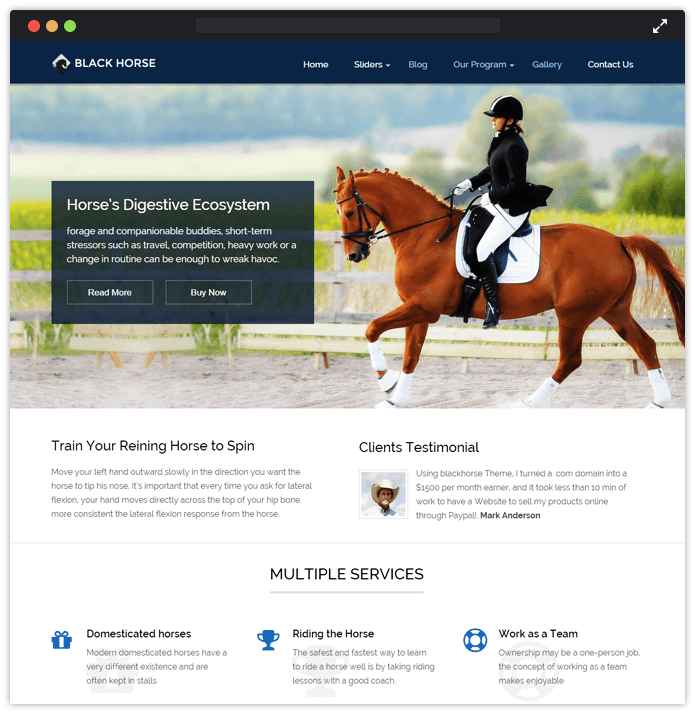 BlackHorse Sports WordPress Theme