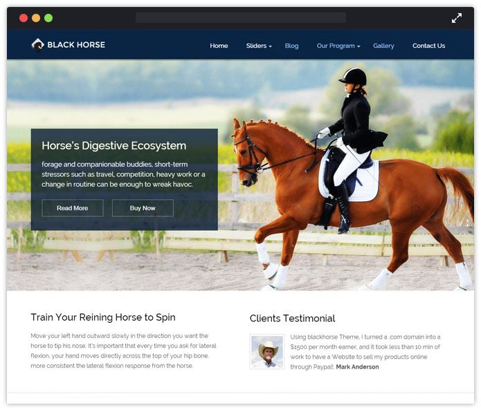 BlackHorse Top Academic WordPress Themes InkThemes