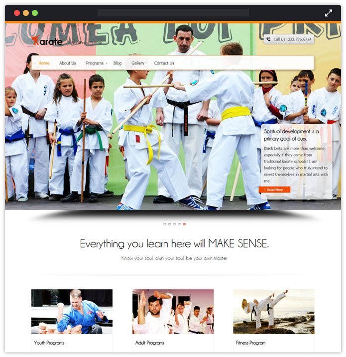 Karate Top Academic WordPress Themes InkThemes