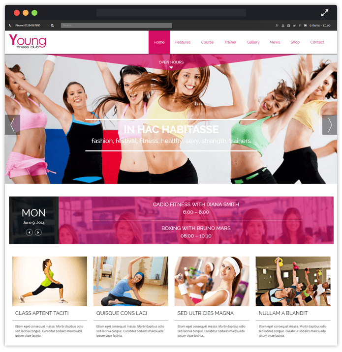 Young WordPress Theme