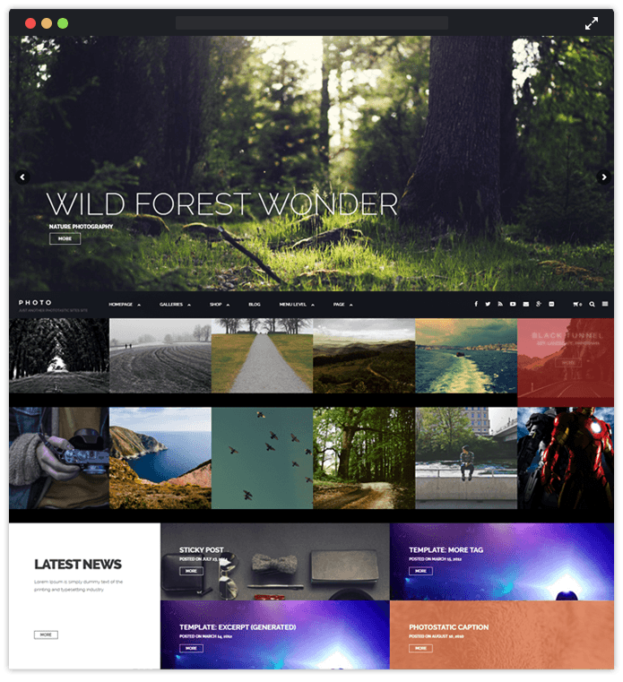 Phototastic WordPress Theme