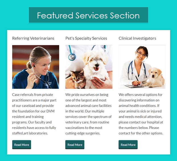Service Section-pet-animal-veterinary-wordpress-InkTheme