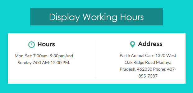 Working Hours-pet-animal-veterinary-wordpress-InkTheme